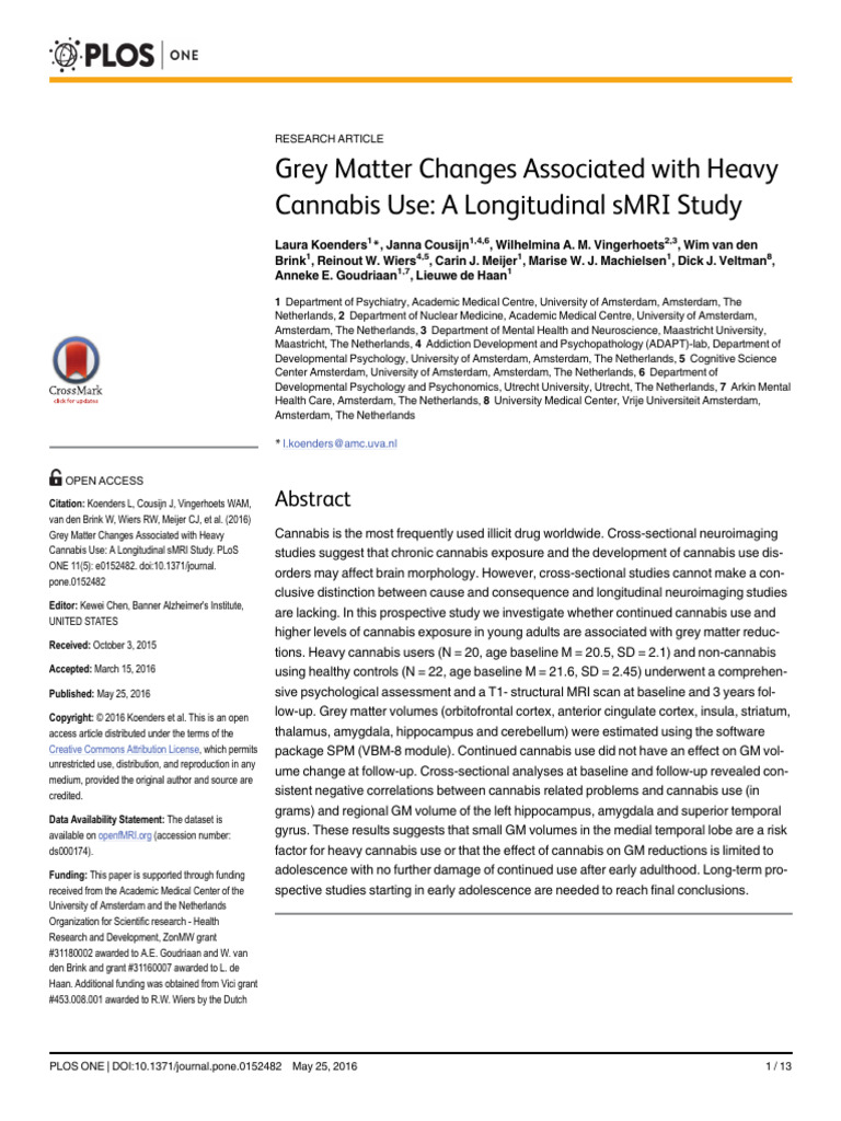 Grey Matter Changes Using VBM | PDF | Cannabis (Drug) | Hippocampus