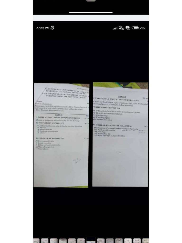 FM Imp Prev | PDF
