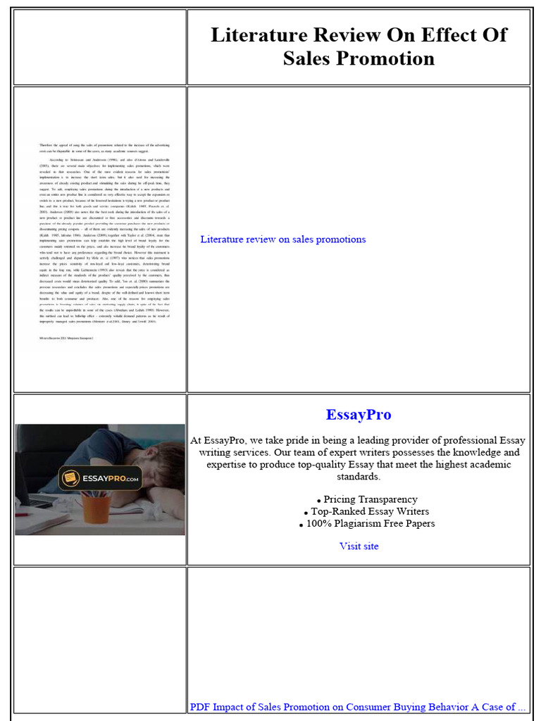 Literature Review On Effect of Sales Promotion | PDF | Marketing | Brand