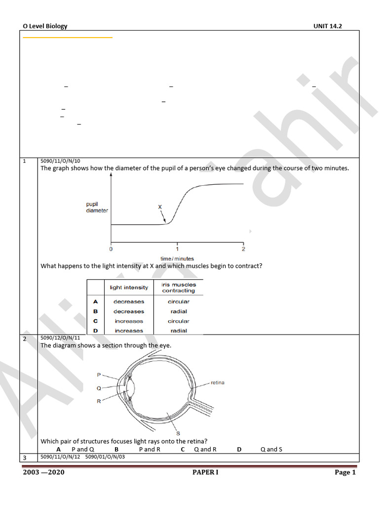 Mammalian Sense Organs Overview | PDF | Eye | Human Eye