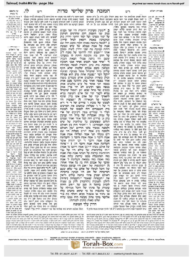 Talmud Me-ila 36a | PDF