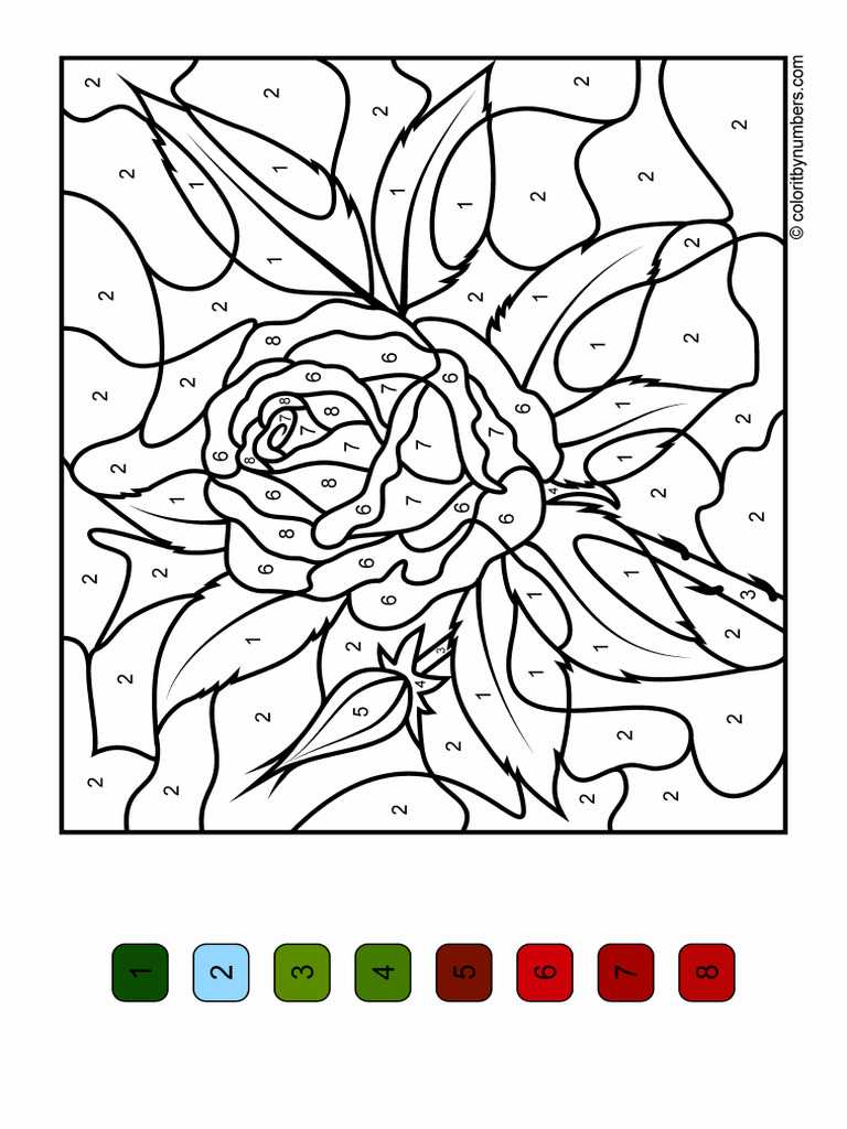 Rose | PDF