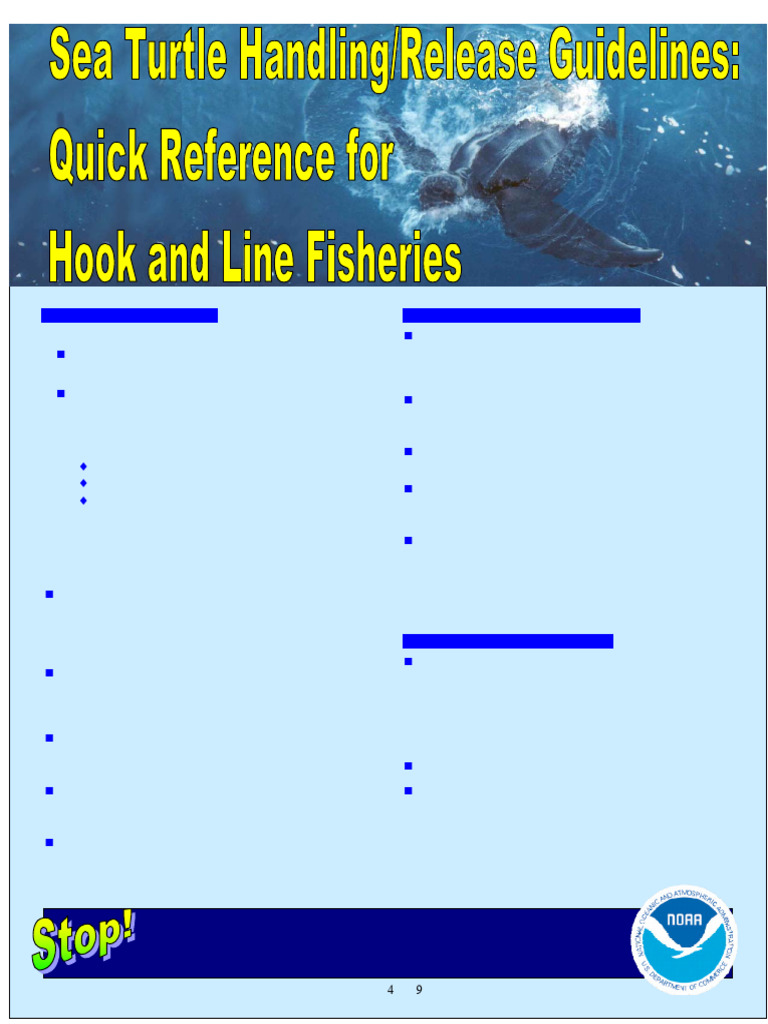 sero_sea_turtle_handling_release_guidel_quick_reference_for_handl_placard_english_4-24-19 2 ...
