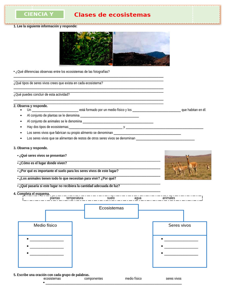 D3 A1 FICHA CT. Clases de Ecosistemas | PDF | Ecosistema | Agua