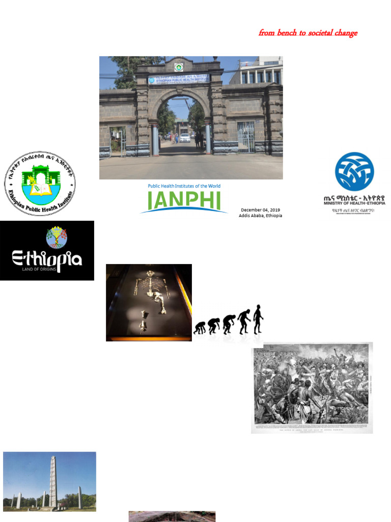 EPHI's Role in Ethiopia's Health System | PDF | Public Health | Ethiopia