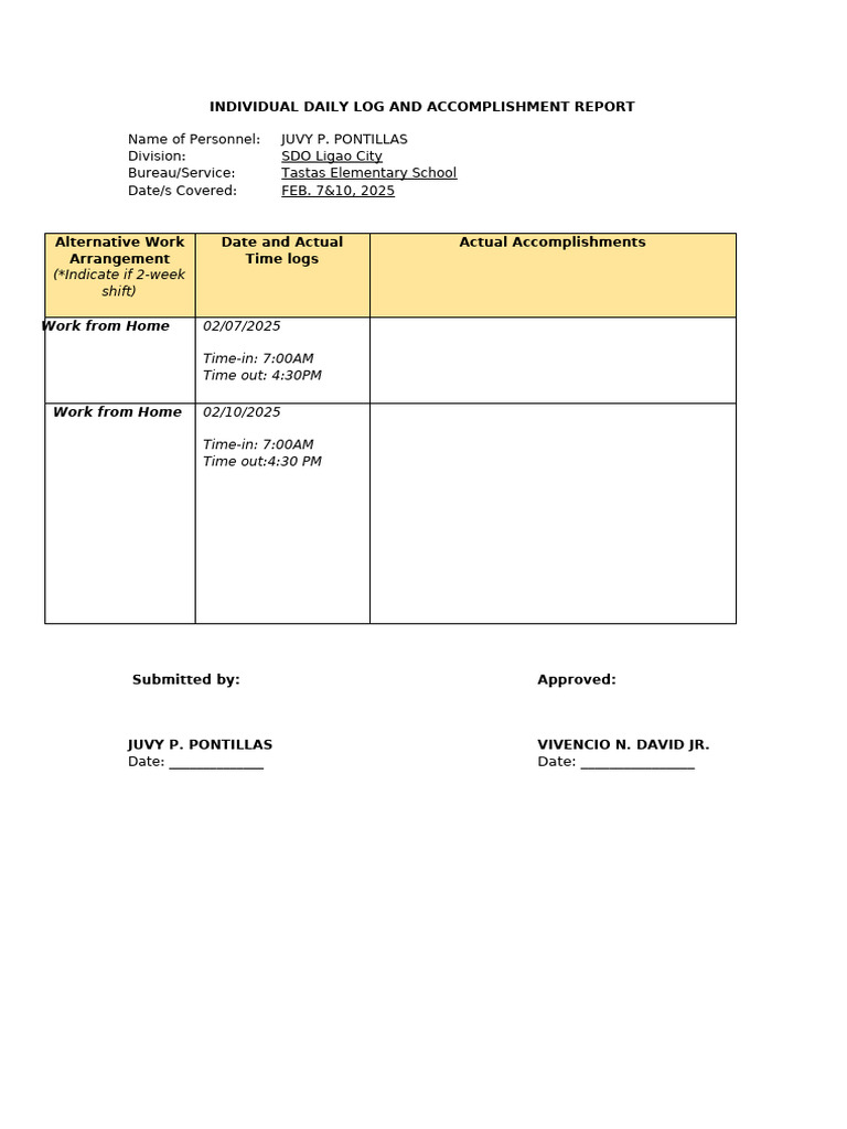 Daily Work Log & Accomplishments Report | PDF