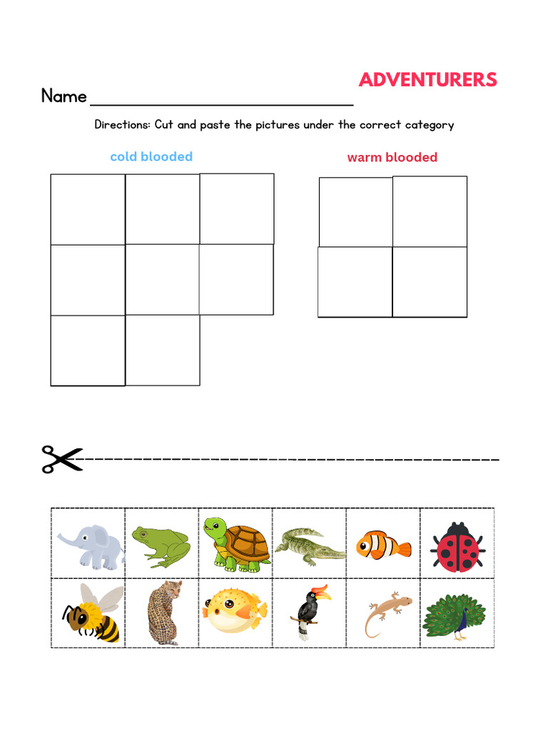 Colorful Cut and Paste Beginning Sounds Worksheet | PDF
