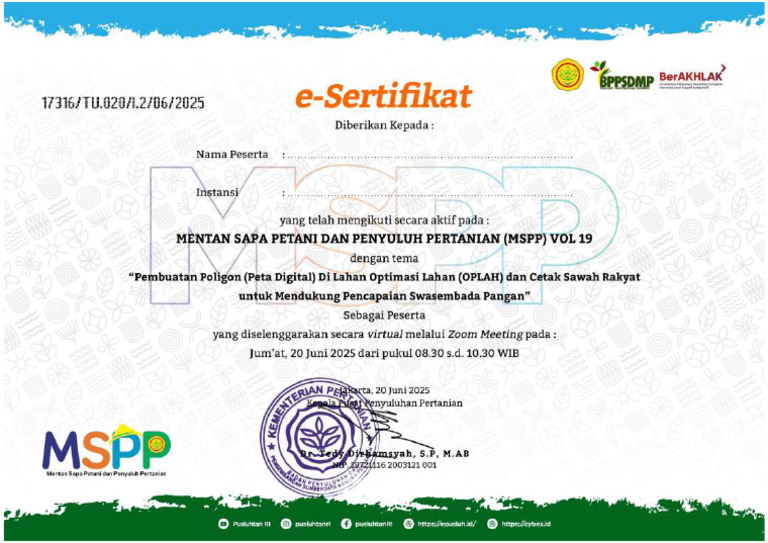 MSPP Vol 19 | PDF