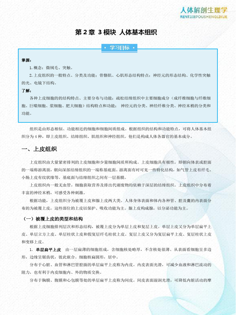 使用MET 技术拉伸或强化结缔组织- PushAsRx 运动训练中心德克萨斯州埃尔帕索, image size:768x1024