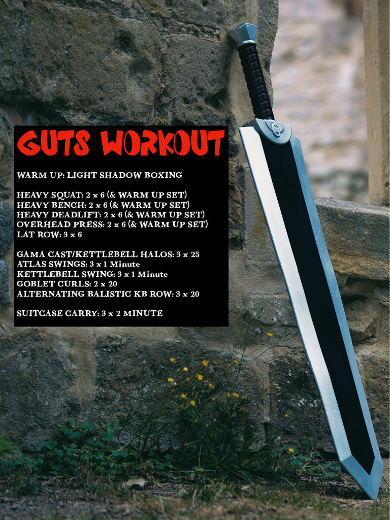 Home Guts Workout Routine | PDF