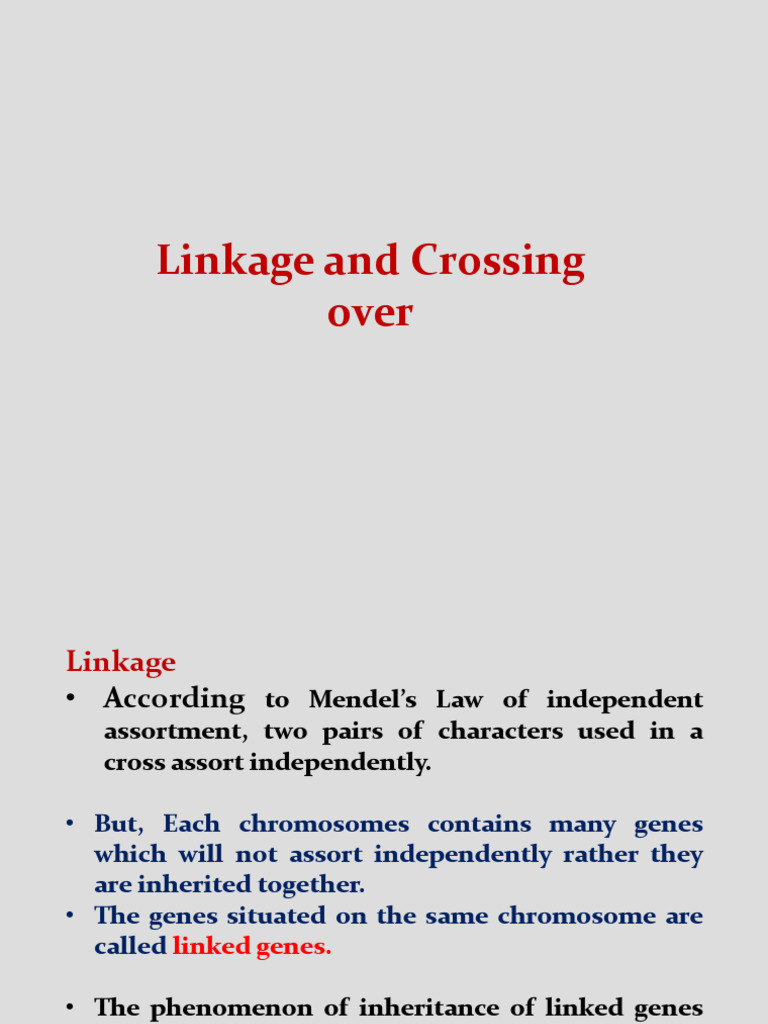 Linkage and Complete Linkage in Drosophila | PDF | Genetic Linkage ...
