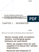 Chapter 1: Respiration