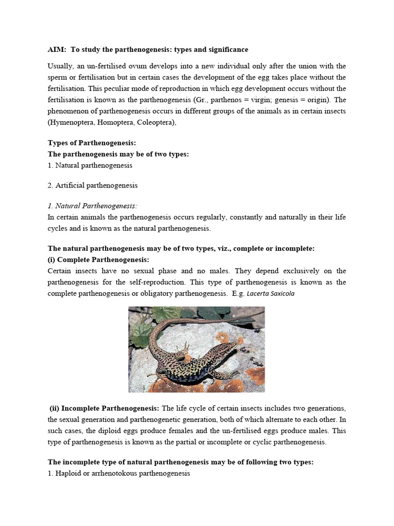 Parthenogenesis - Docx Modified | PDF | Hymenoptera | Fertilisation