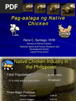 Download Pag-Aalaga Ng Native Chicken by aimeealp SN89626269 doc pdf