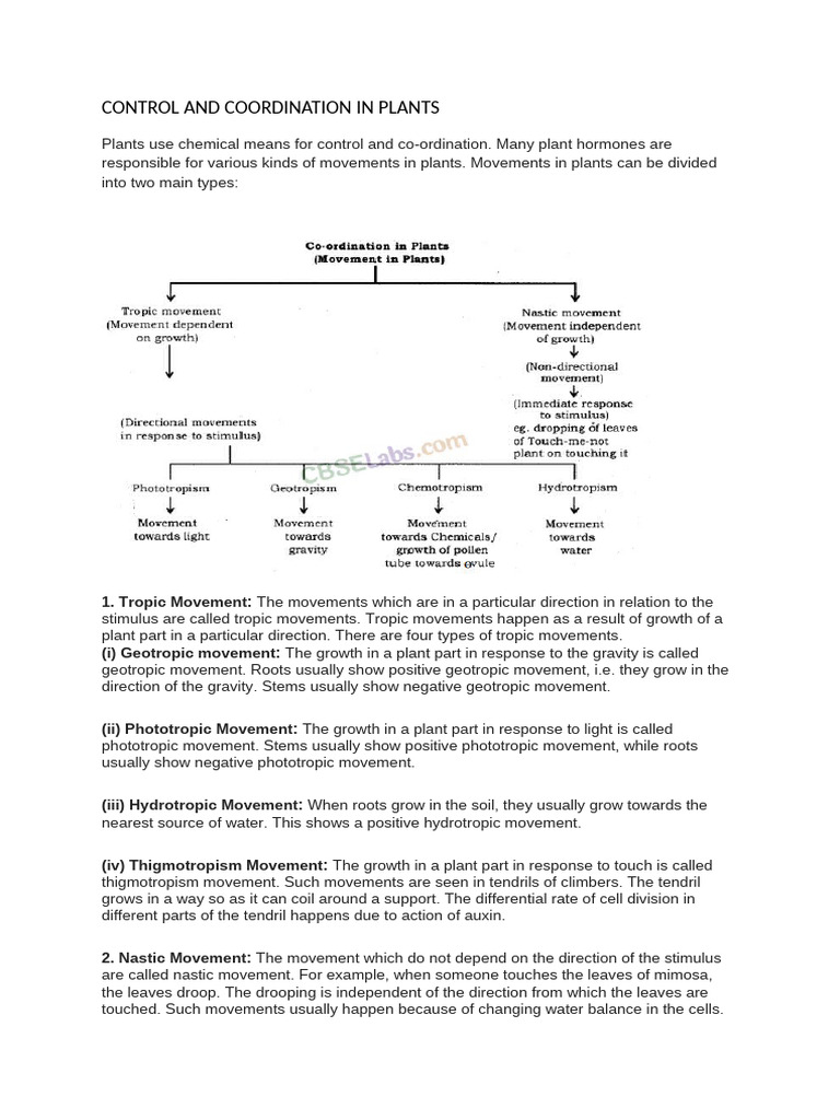 Plant Control and Coordination Mechanisms | PDF | Plant Hormone | Organisms