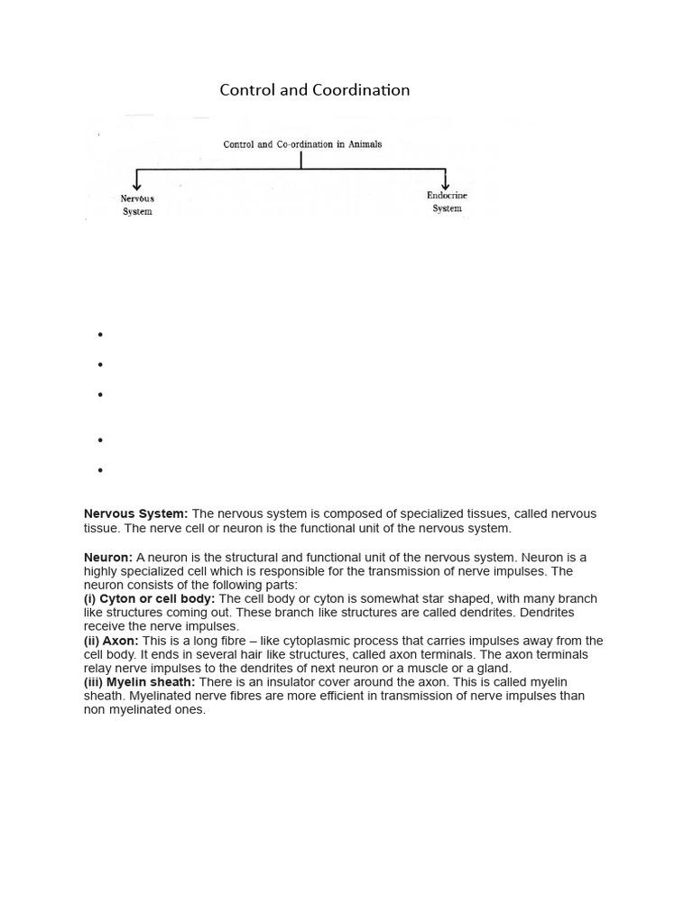 Control and Coordination in Animals | PDF | Hormone | Neuron