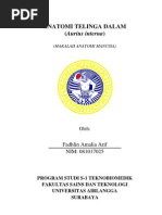 Download Makalah Telinga Tengah-fix by IoNurdin Setiawan SN89626459 doc pdf