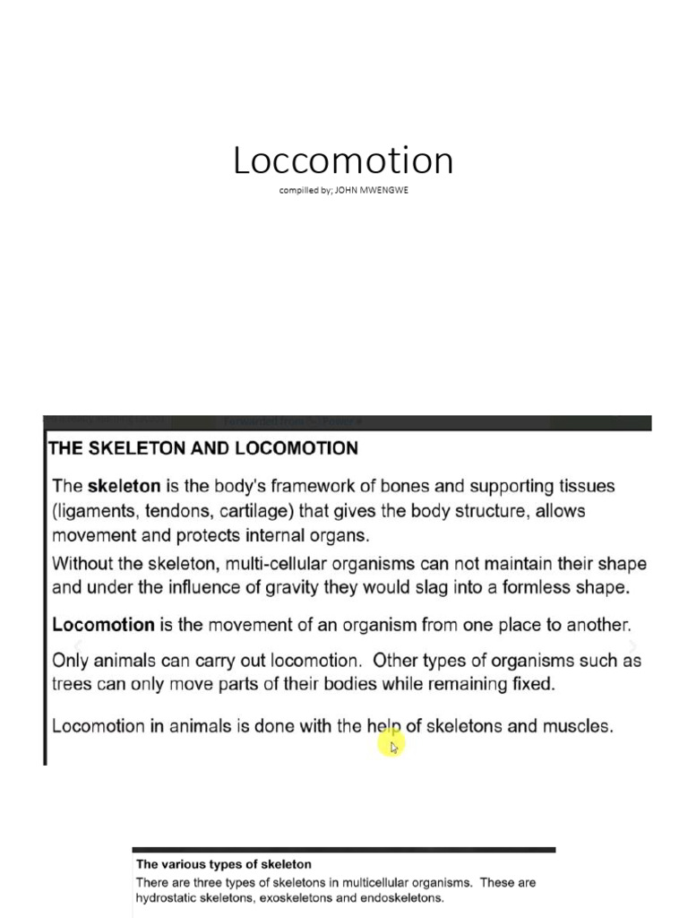 Biology Lesson Locomotion Notes | PDF