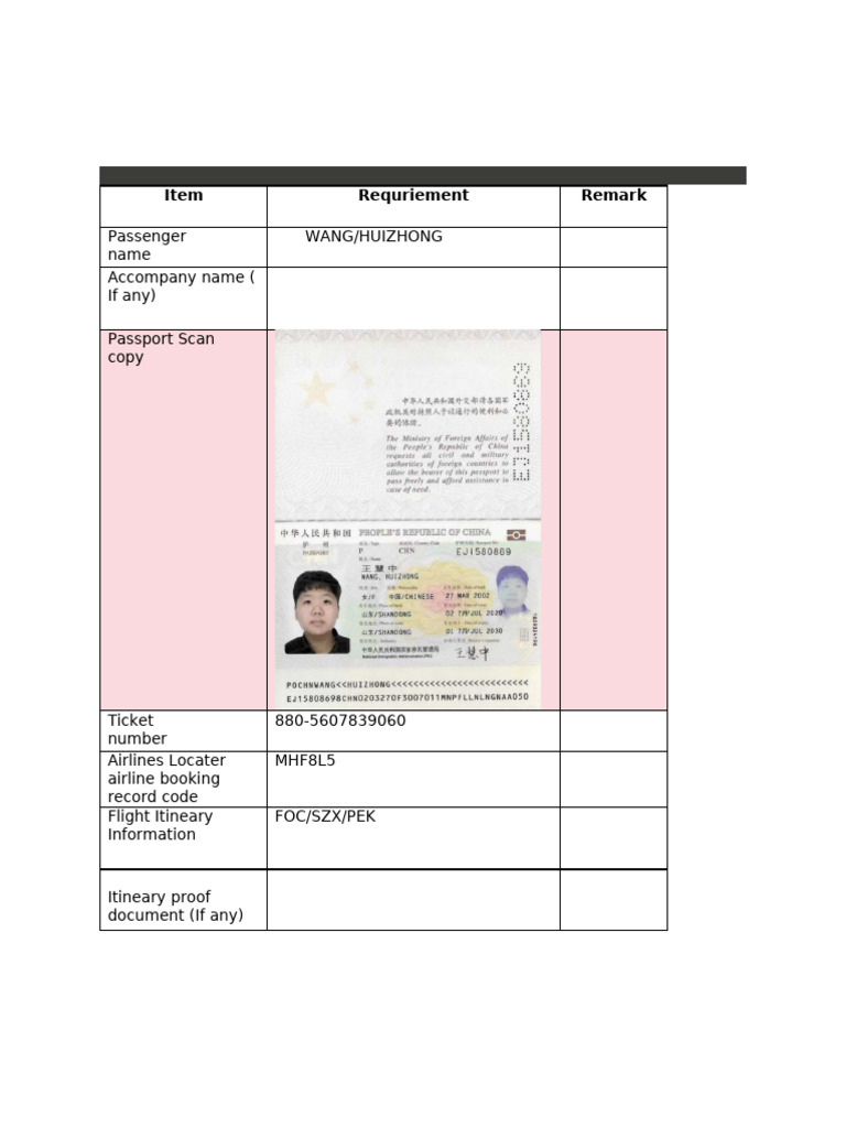 Overseas Medical Treatment Requirements | PDF