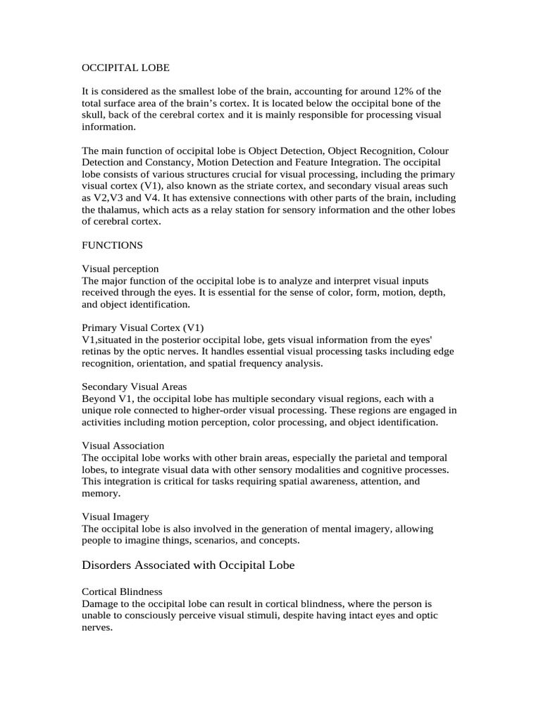 Occipital Lobe: Visual Processing Functions | PDF | Visual Cortex ...