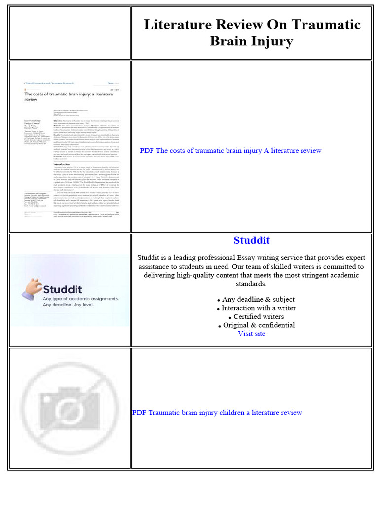 Literature Review On Traumatic Brain Injury | PDF | Traumatic Brain ...