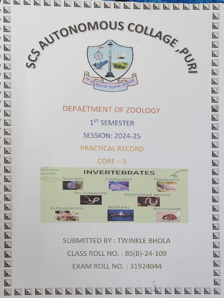 Invertebrates Practical | PDF