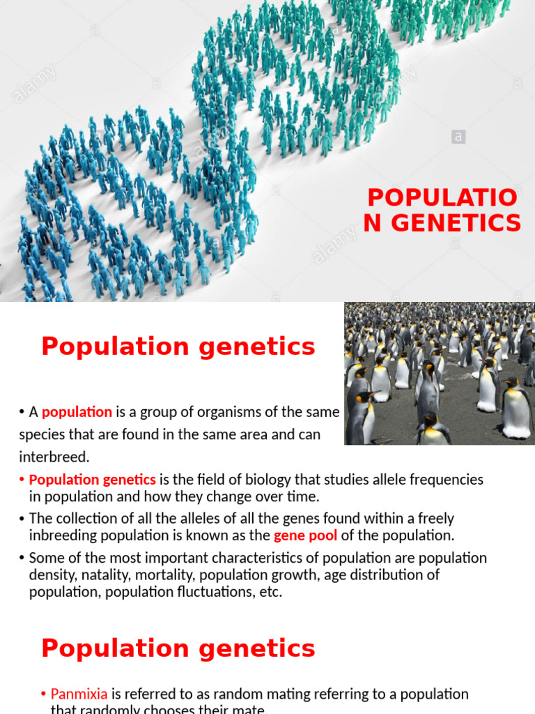 Understanding Population Genetics Basics | PDF | Inbreeding | Heritability