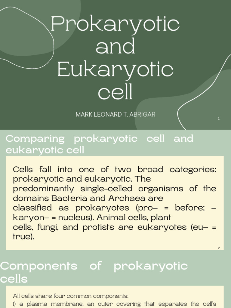 Prokaryotic vs Eukaryotic Cells Explained | PDF | Cell (Biology ...