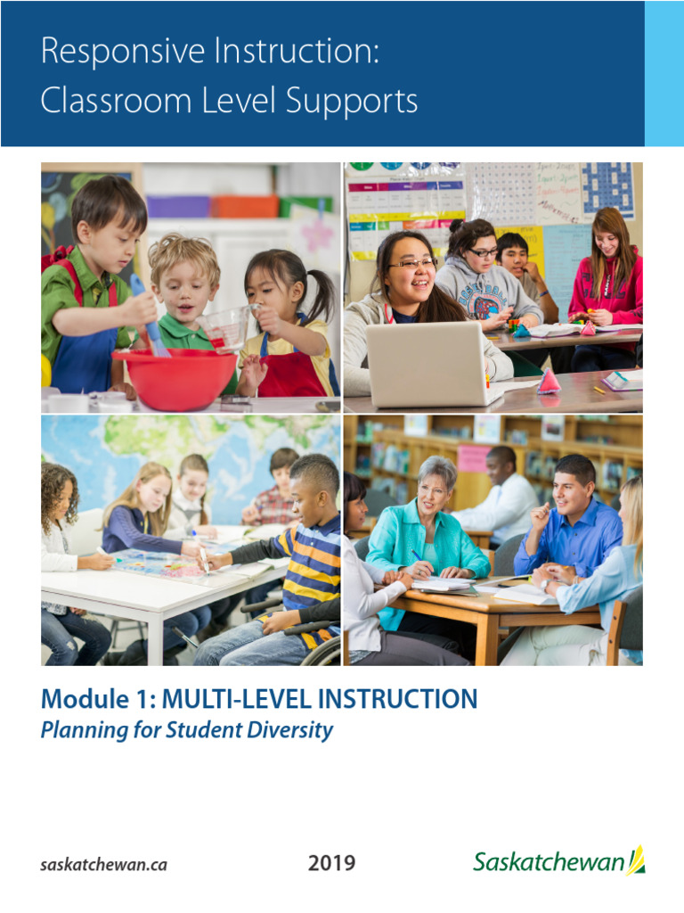 Responsive Instruction | PDF | Learning | Reading Comprehension