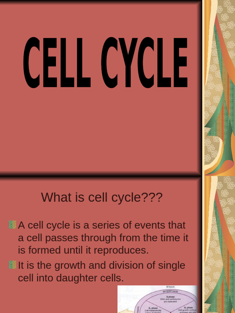 Cell Cycle: Types of Cells Explained | PDF | Cell Cycle | Mitosis