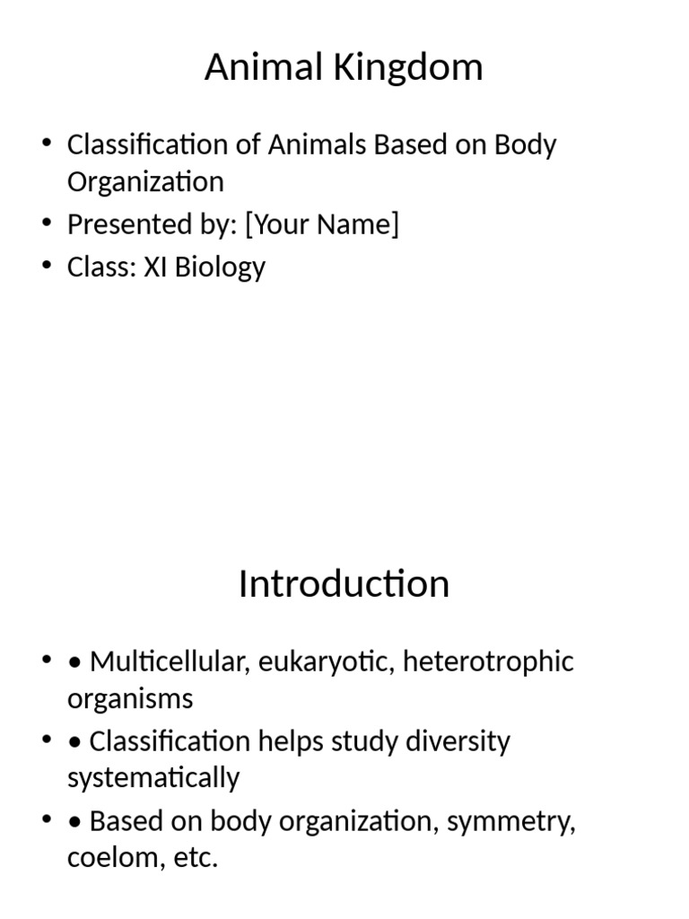 Class 11 Animal Kingdom Overview | PDF