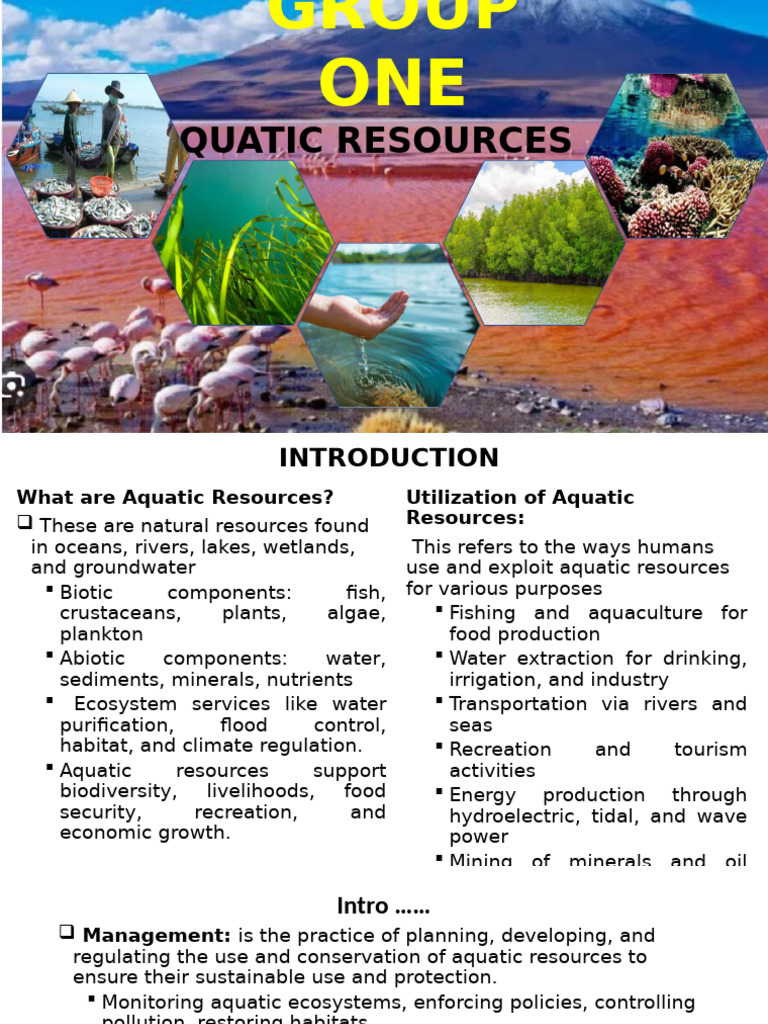 Overview of Aquatic Resource Management | PDF | Coral Reef | Aquatic ...