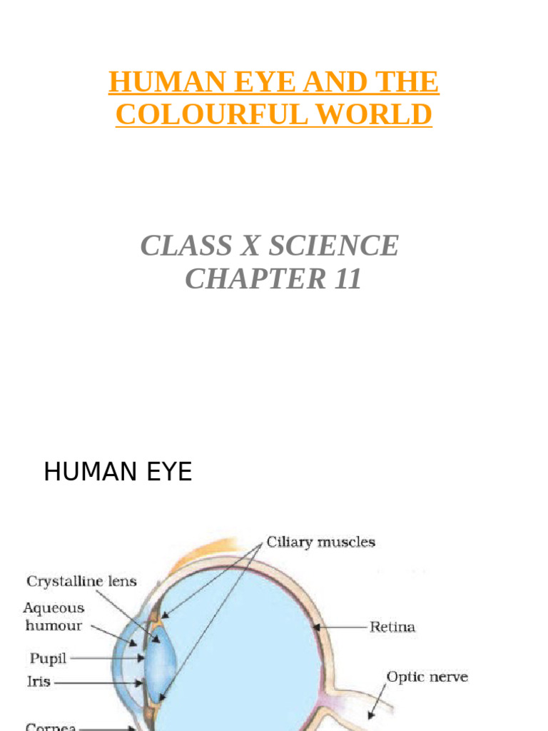 Defects of Vision in Human Eye | PDF | Eye | Human Eye