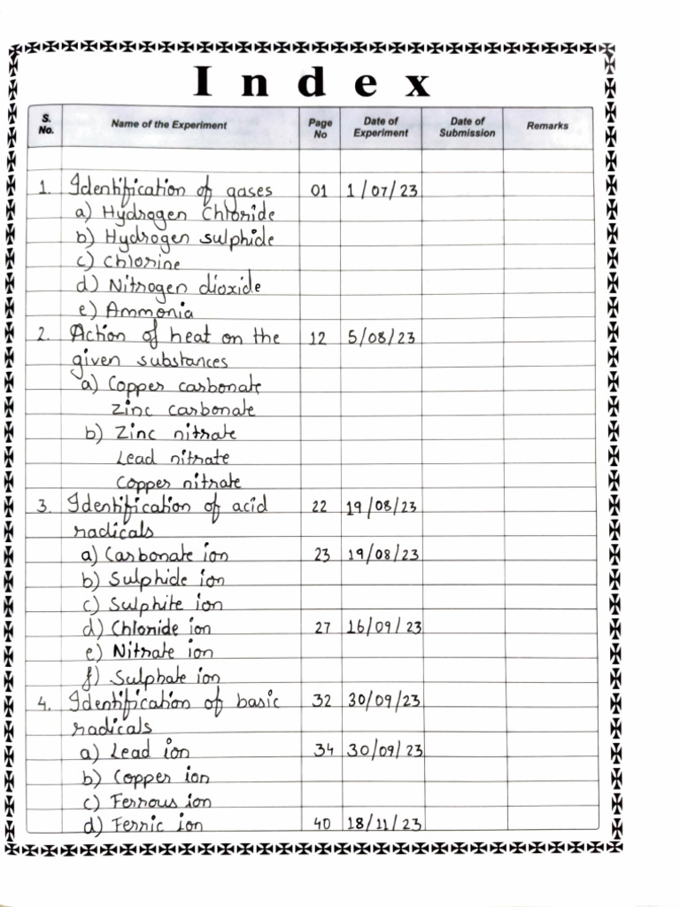 Chemistry Record 10 | PDF