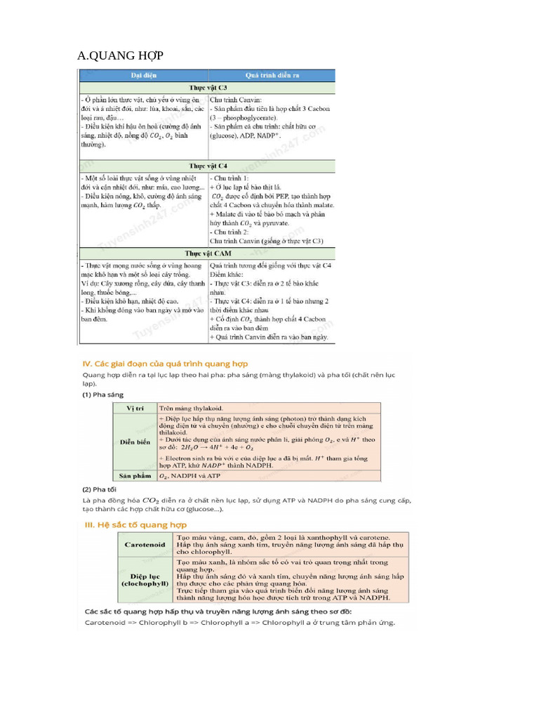 Ho Hap | PDF