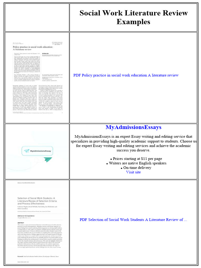Social Work Literature Review Examples | PDF | Thesis | Plagiarism