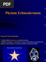 Download -EchinodermataPPT by rohan_5 SN89640626 doc pdf