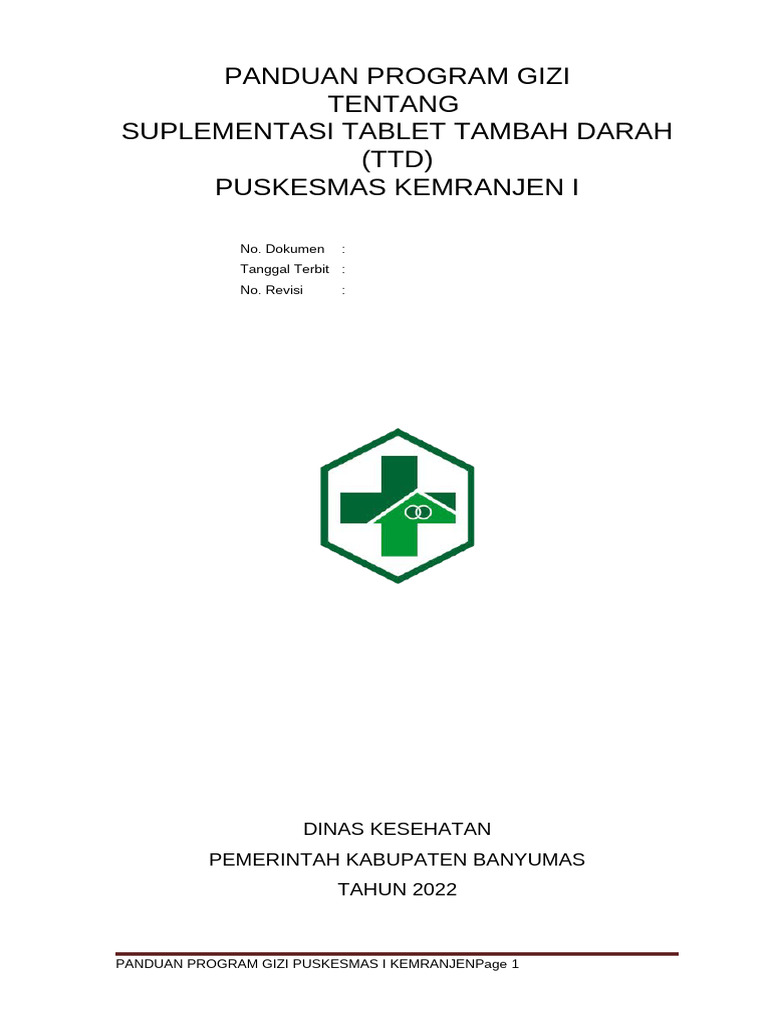 Panduan Suplementasi TTD Puskesmas | PDF