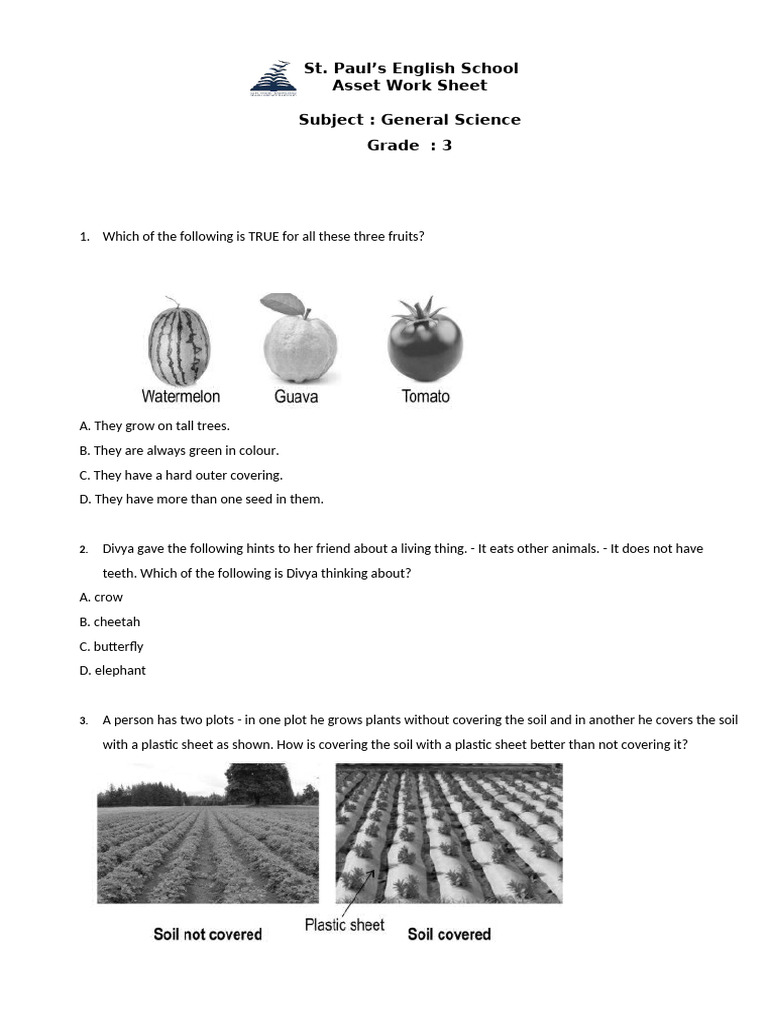 Grade 3 General Science Worksheet | PDF