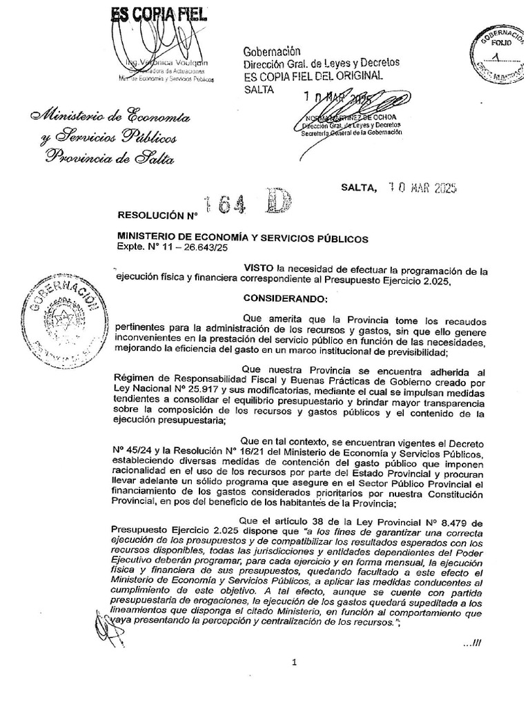 Resolucion 164 25 | PDF