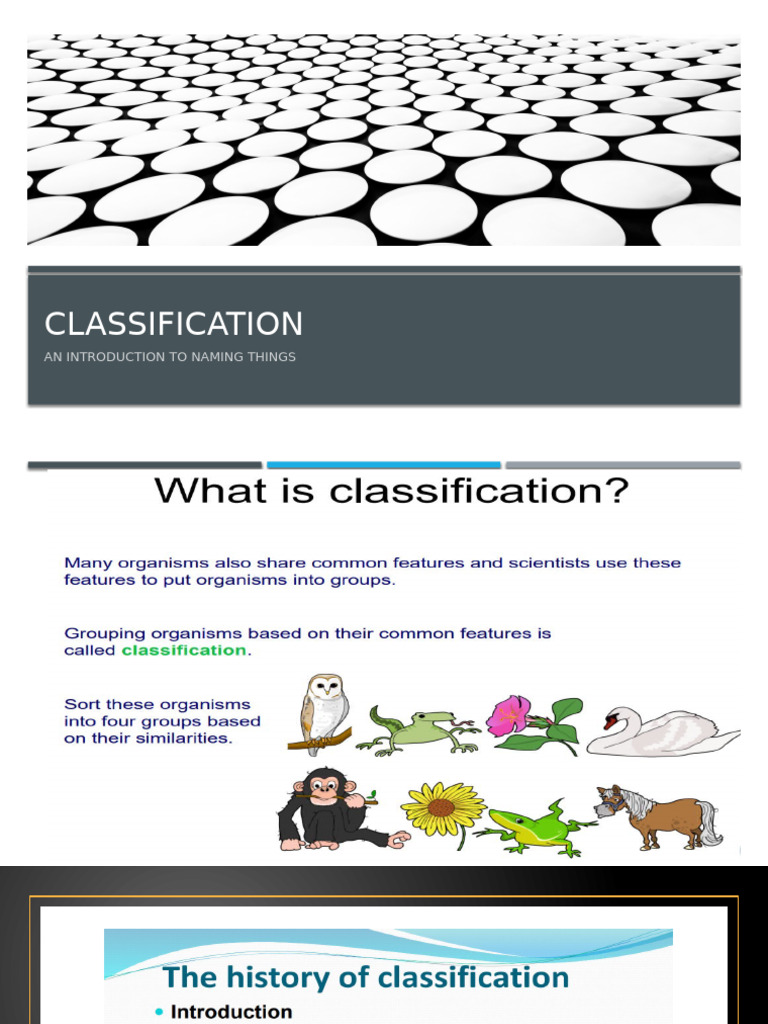 Classification 7 | PDF