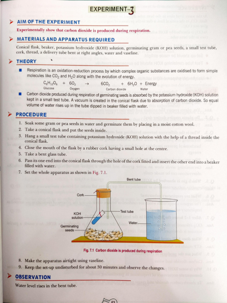 Experiment 3 Class 10 | PDF