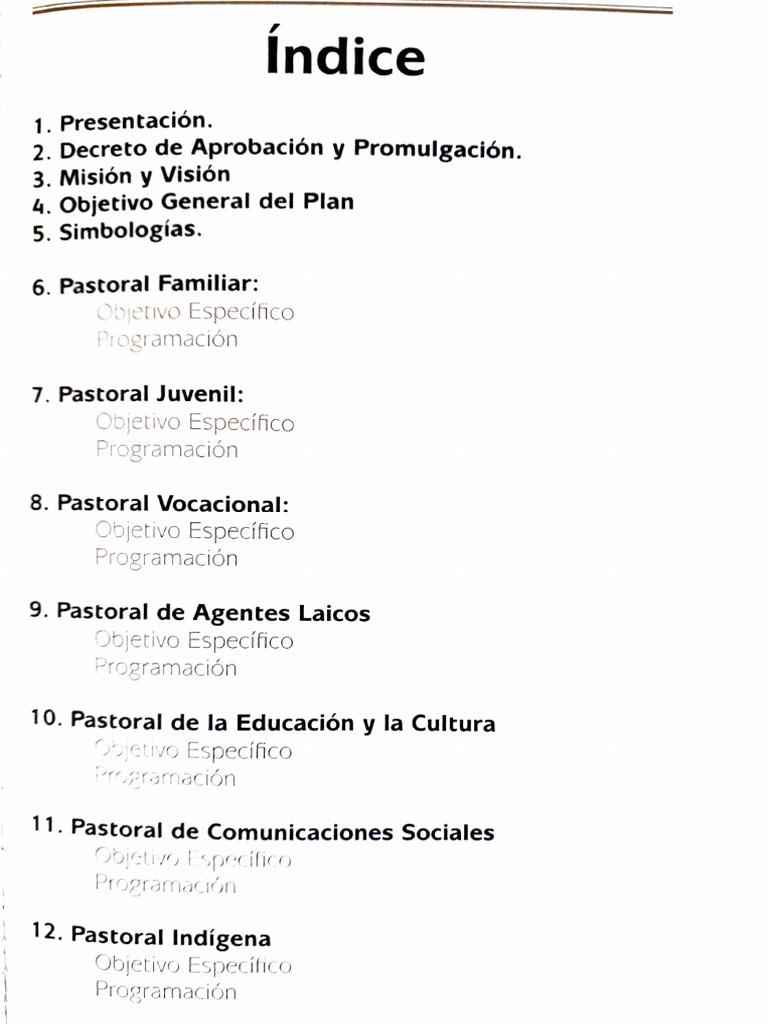 Plan de Pastoral Vocacional Toluca | PDF | Oración | Seminario