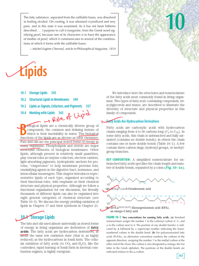 Lipid Am PDF | PDF | Lipid | Fatty Acid