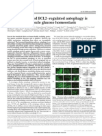 Letter: Exercise-Induced BCL2-regulated Autophagy Is Required For Muscle Glucose Homeostasis