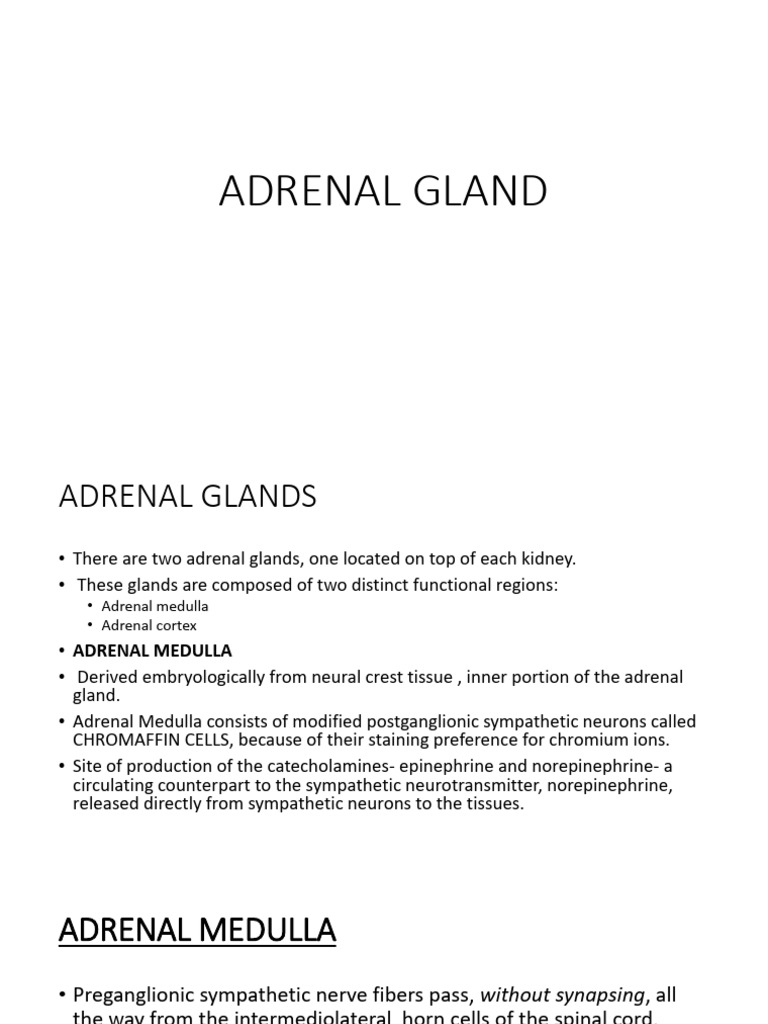 Adrenal Gland and Medulla Functions | PDF | Adrenal Gland | Cortisol
