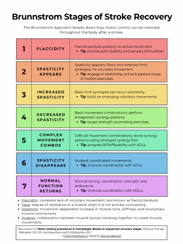 Brunnstrom Handout (Color) | PDF