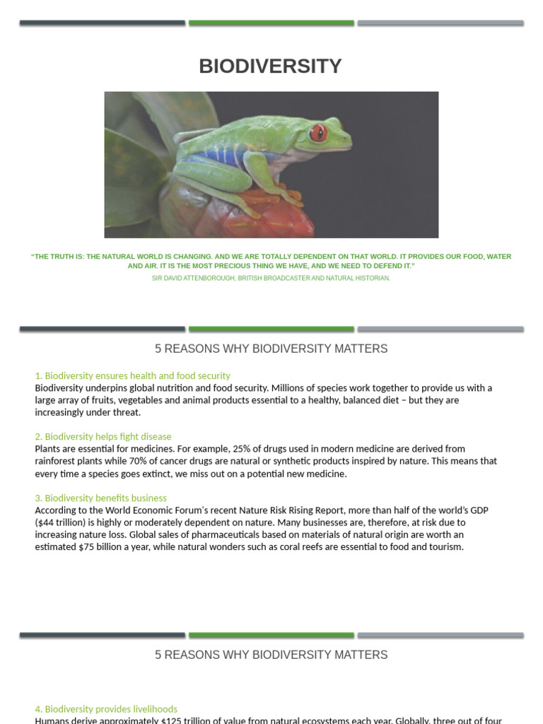 Importance of Biodiversity Explained | PDF | Biodiversity | Ecosystem
