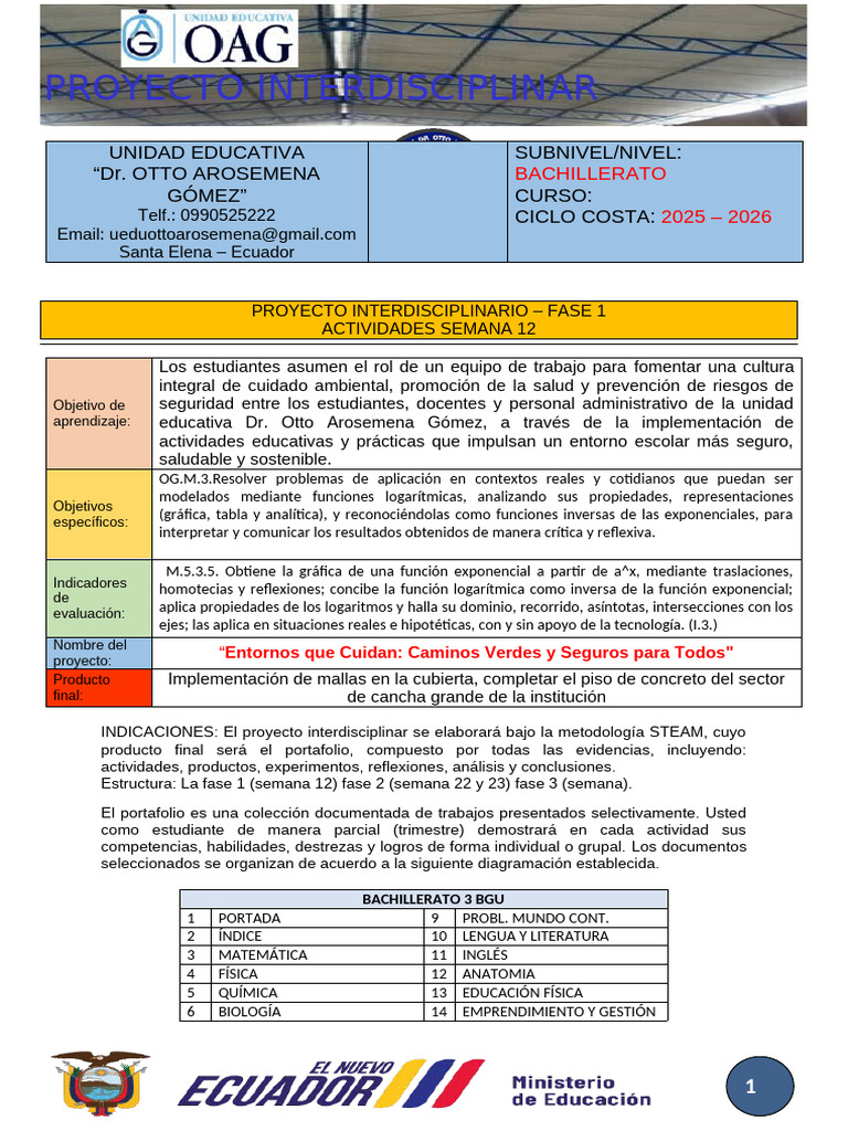 Proyectos Interdisciplinarios en Educación | PDF