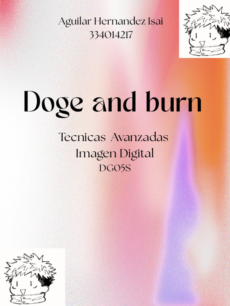 Doge and Burn | PDF